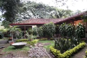 El Cipr&eacute;s Hostel