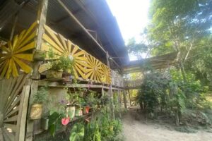 El conuco del faraon