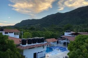 El Despertar de las Aves