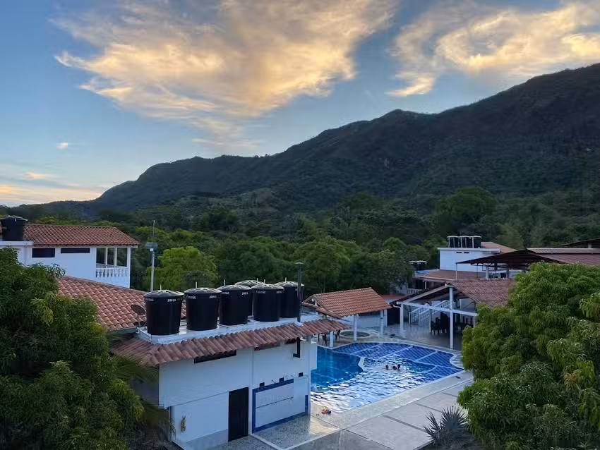 El Despertar de las Aves