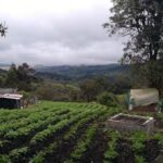 El Eden es Pasquilla