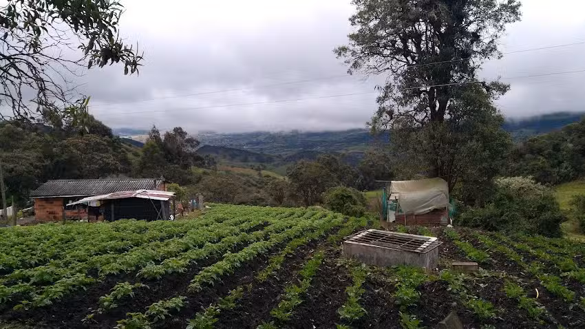 El Eden es Pasquilla