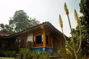 El Laurel Finca Agrotur&iacute;stica