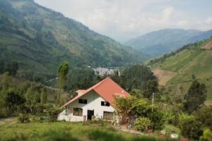 EL MIRADOR DE LA ARCADIA