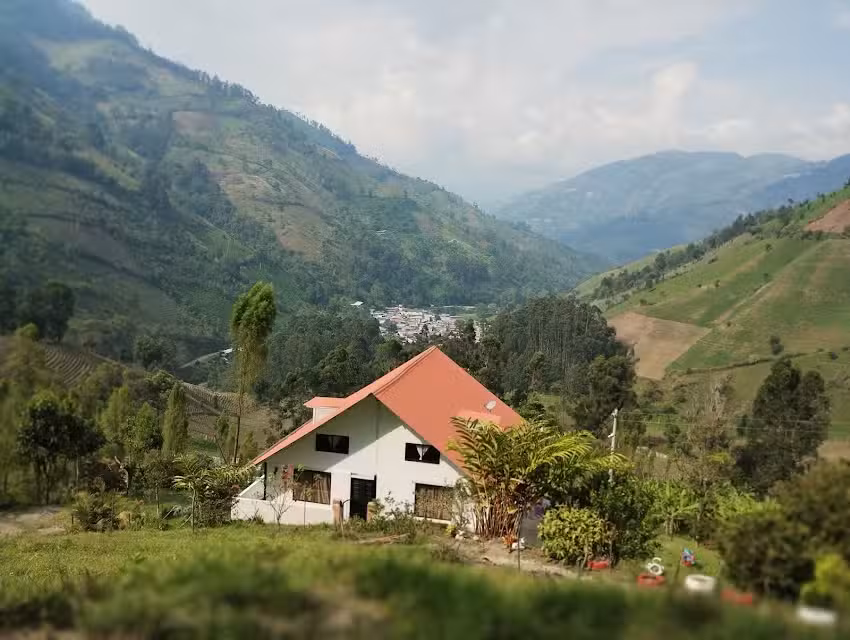 EL MIRADOR DE LA ARCADIA
