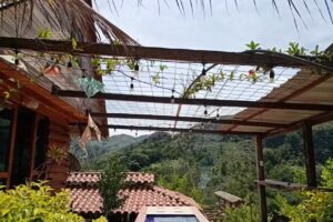 El Mirador de la Guacharaca