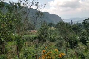 El placer vereda Santa Lucia Fusagasug&aacute;