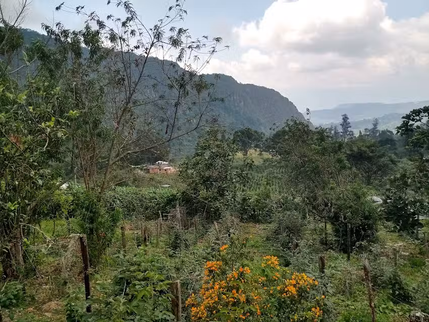 El placer vereda Santa Lucia Fusagasug&aacute;