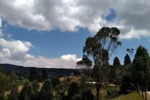 El Prado Verjón Bajo