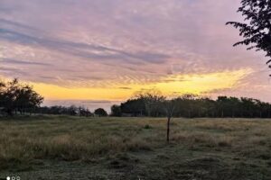 El rancho de Carmen Vasquez