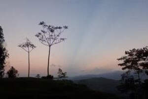 EL REFUGIO DE LOS ALVATROZ