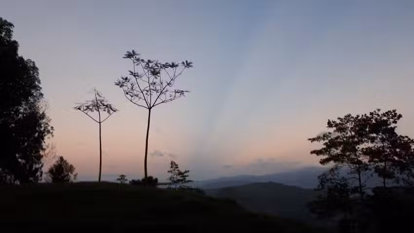 EL REFUGIO DE LOS ALVATROZ