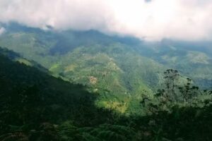 El Refugio del Roble