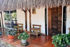 El refugio del tibur&oacute;n