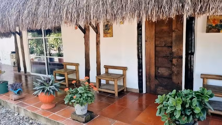 El refugio del tibur&oacute;n