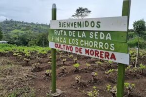 El Rincón del Arado