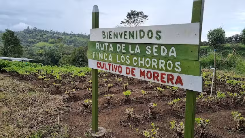 El Rinc&oacute;n del Arado