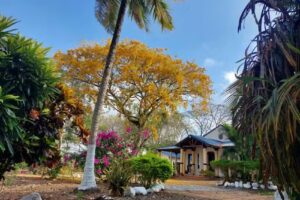 El Rincon del Monocuco