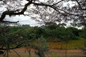 El tabl&oacute;n Caldono Cauca