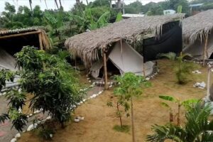 El Zoo Hostel & Pool