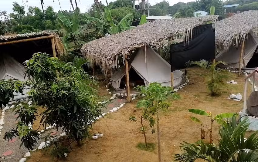 El Zoo Hostel & Pool