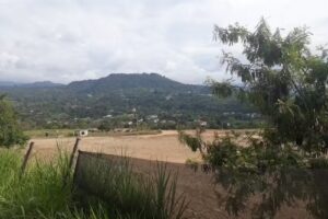 En piscina, Arbel&aacute;ez