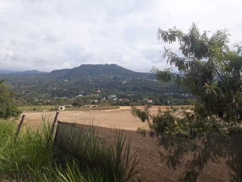 En piscina, Arbel&aacute;ez