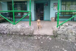 Encanto Tur&iacute;stico Angasmayo