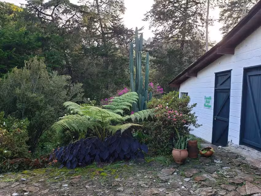 Ensenillo Hotel Boutique