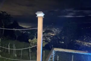 Entre los pinos glamping