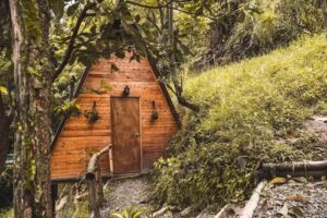 Entre nieblas glamping