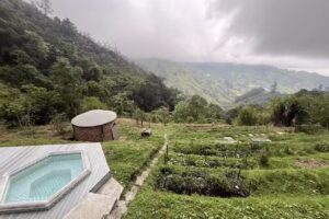 Entre Nubes y Eucaliptos