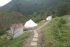 Entrepinos Glamping