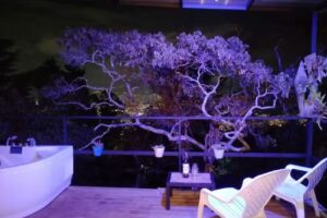 Entrepinoscaba&ntilde;a