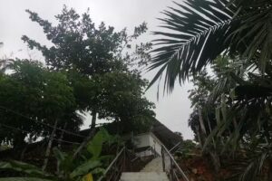 ENTURNE DESCARGUE VASCONIA SOS