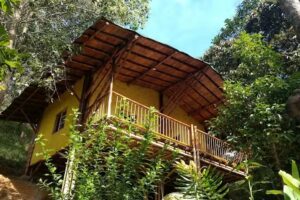 Estaci&oacute;n Paraiso de Dantas