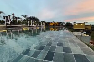 Estadero Bello Horizonte