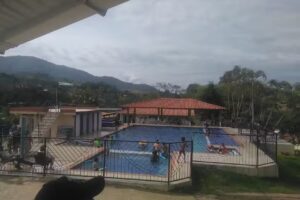 Estadero Buenisimo Gold