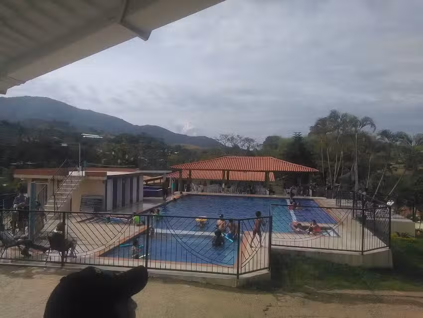 Estadero Buenisimo Gold