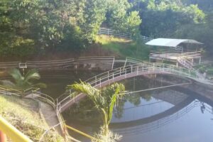 Estadero Villa Palma