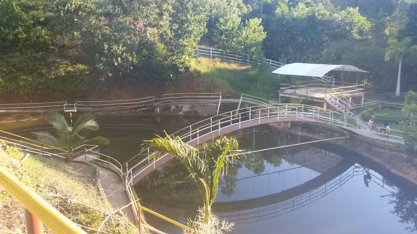 Estadero Villa Palma