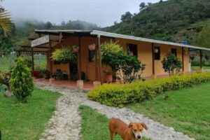 Estancia La Moraleja