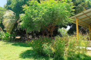 Estancia Villa Campestre