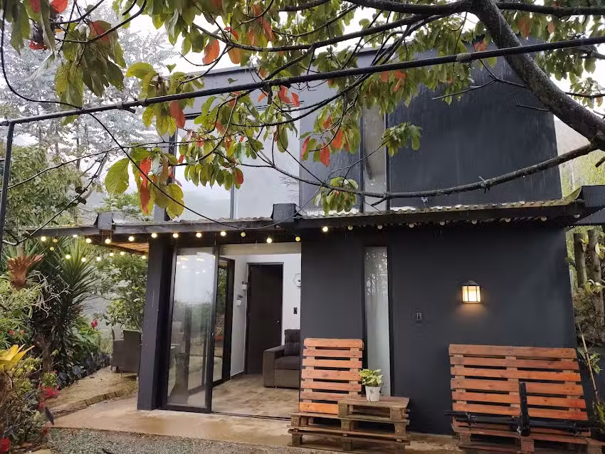 Eucalipto caba&ntilde;a