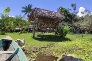 Eware Refugio Amazonico
