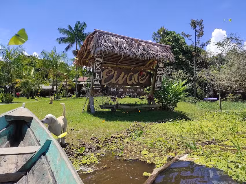 Eware Refugio Amazonico