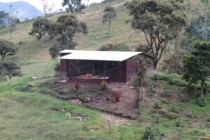 Fapqua Experience House