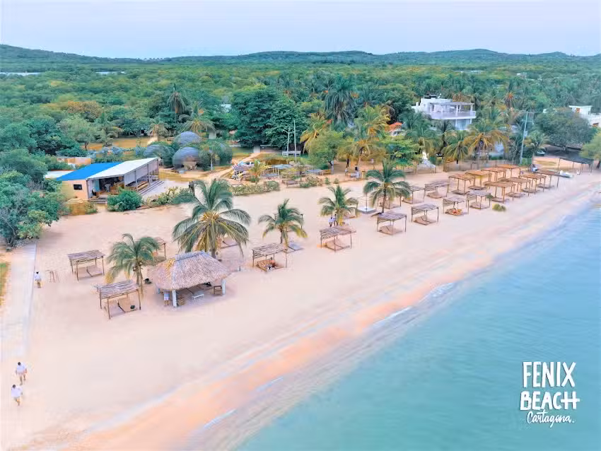 Fenix Beach Club & Hotel