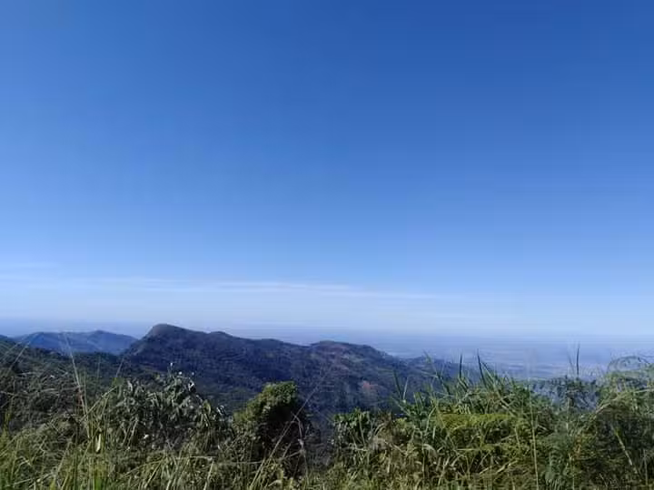 finca