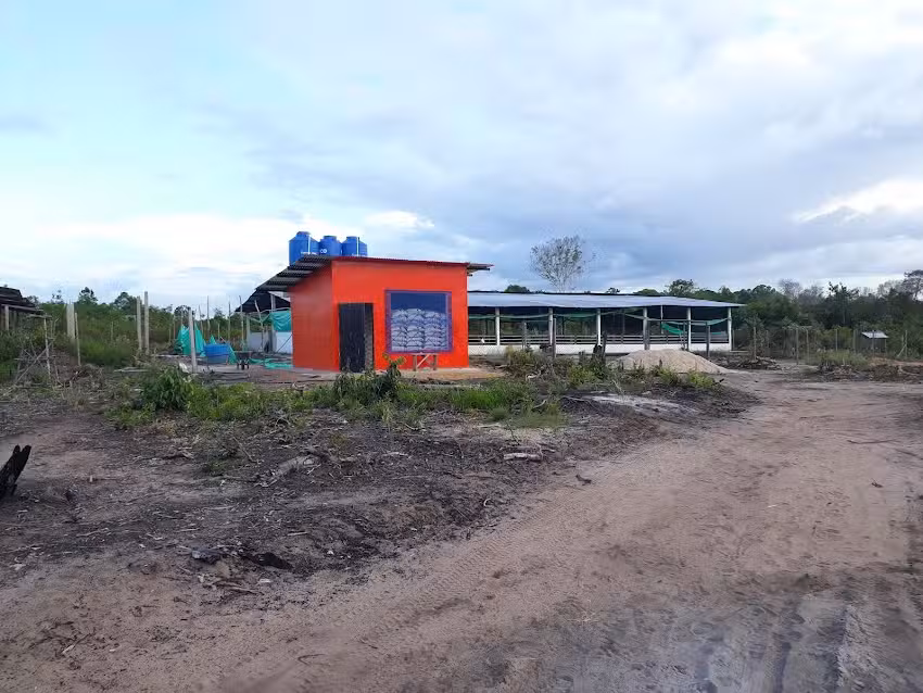 Finca agroporcicola la fortuna